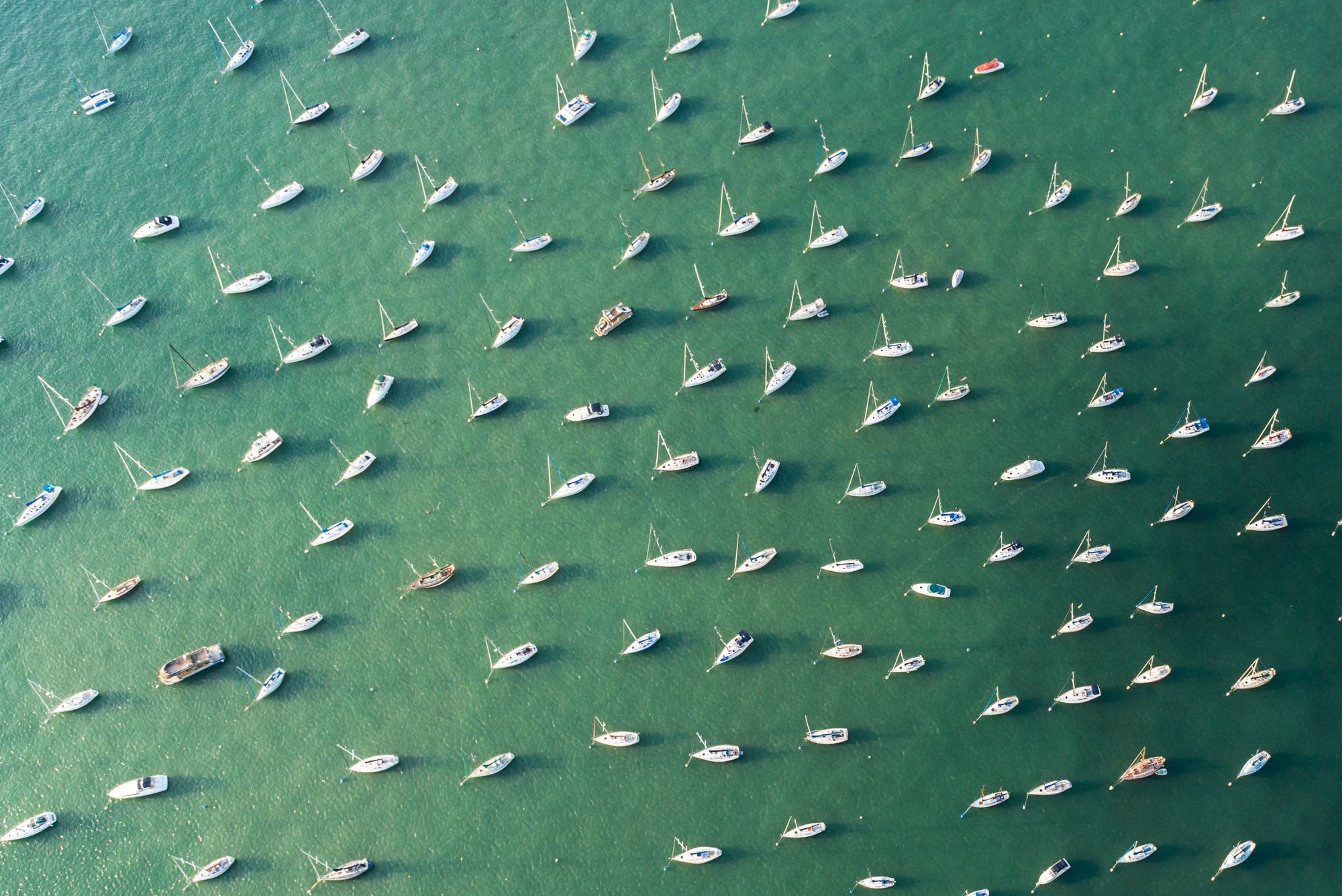 Boat harbors along Lake Michigan near 1000M