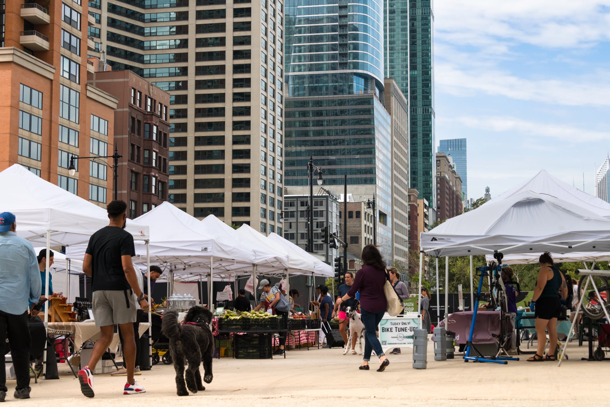 South Loop Farmer's Market in Chicago